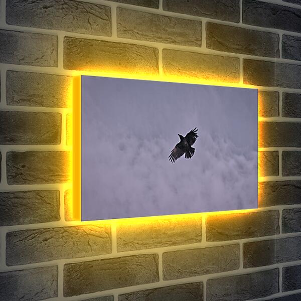 Лайтбокс световая панель - Чёрный ворон в небе
