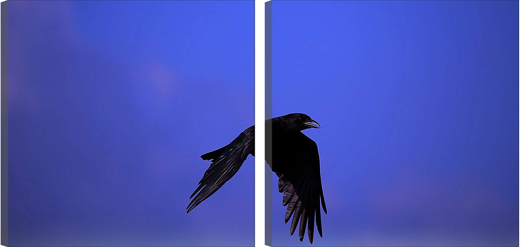 Модульная картина - Чёрный ворон в полёте