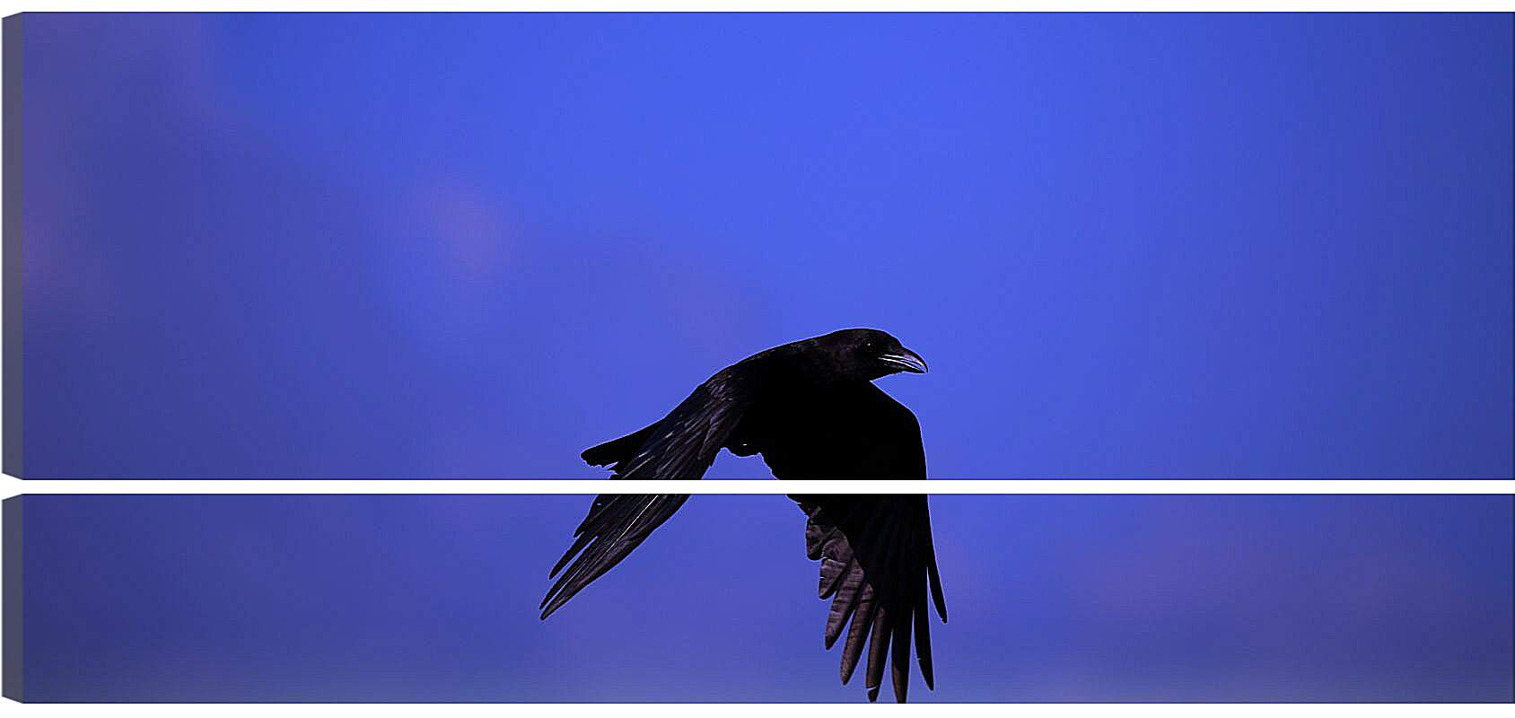 Модульная картина - Чёрный ворон в полёте