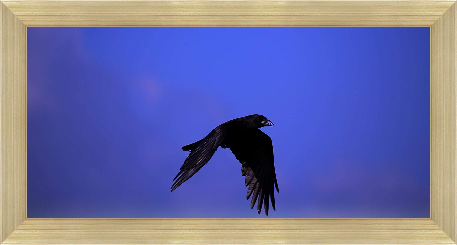 Картина в раме - Чёрный ворон в полёте