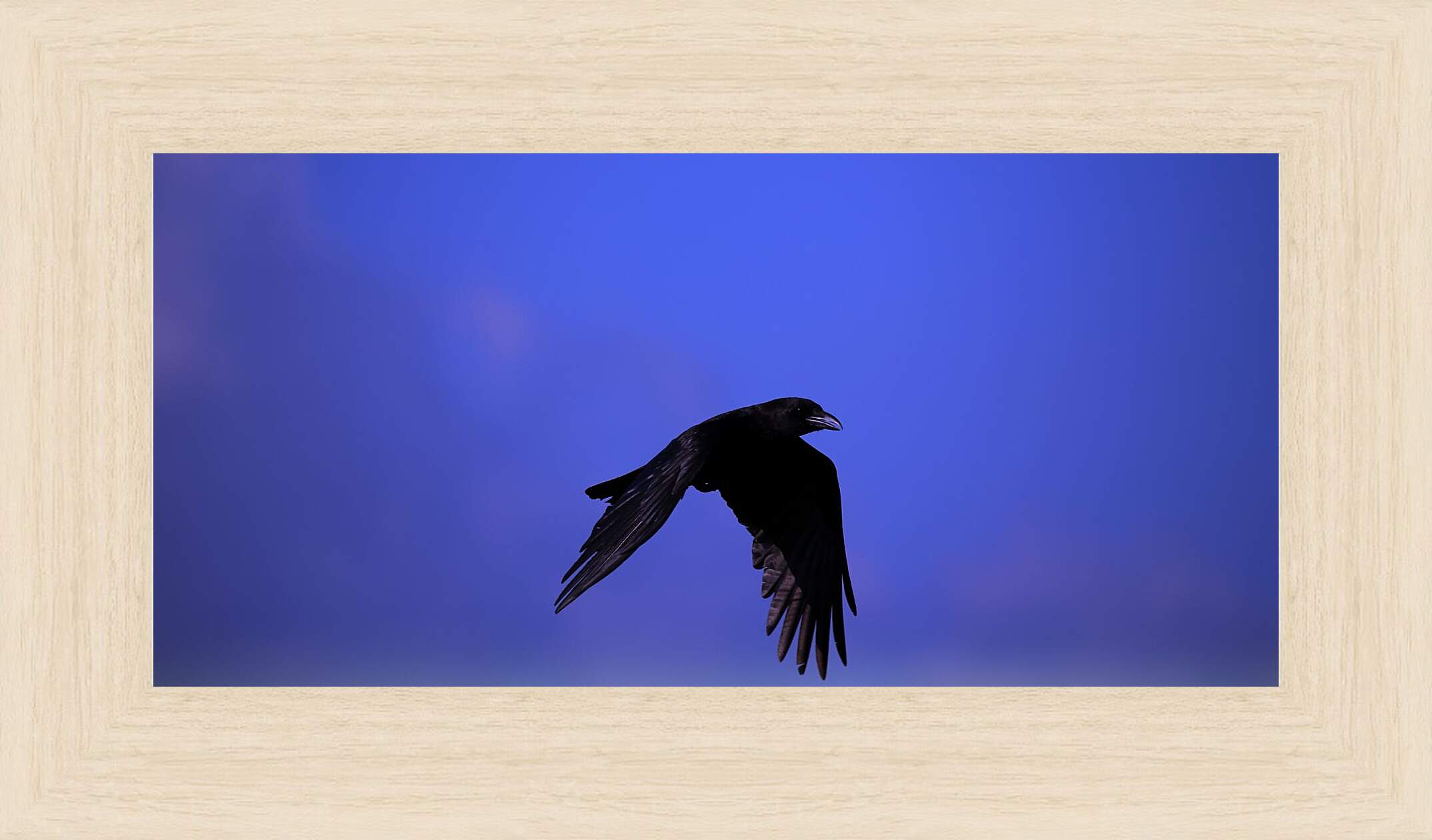 Картина в раме - Чёрный ворон в полёте