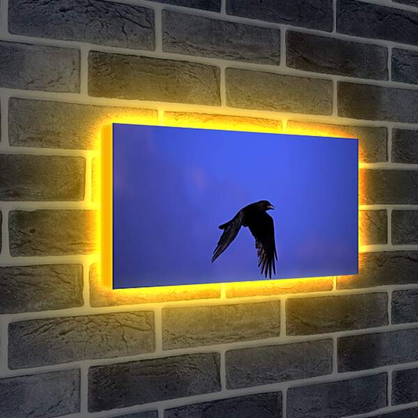 Лайтбокс световая панель - Чёрный ворон в полёте