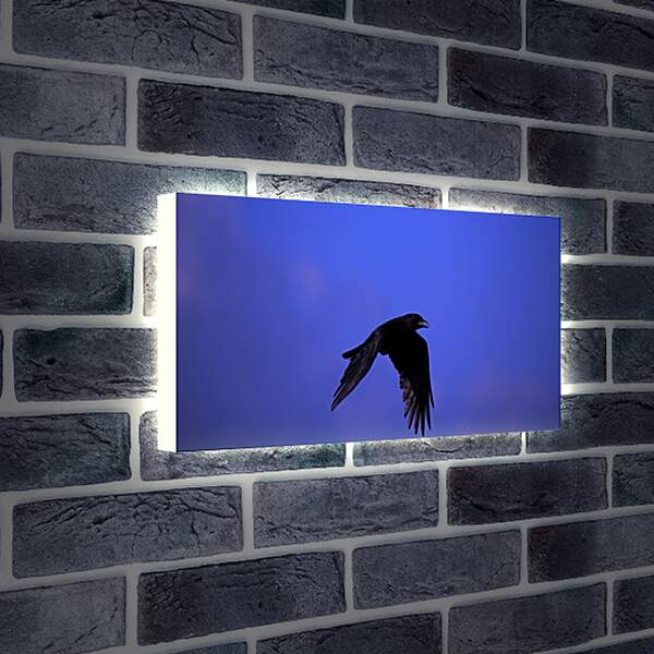 Лайтбокс световая панель - Чёрный ворон в полёте