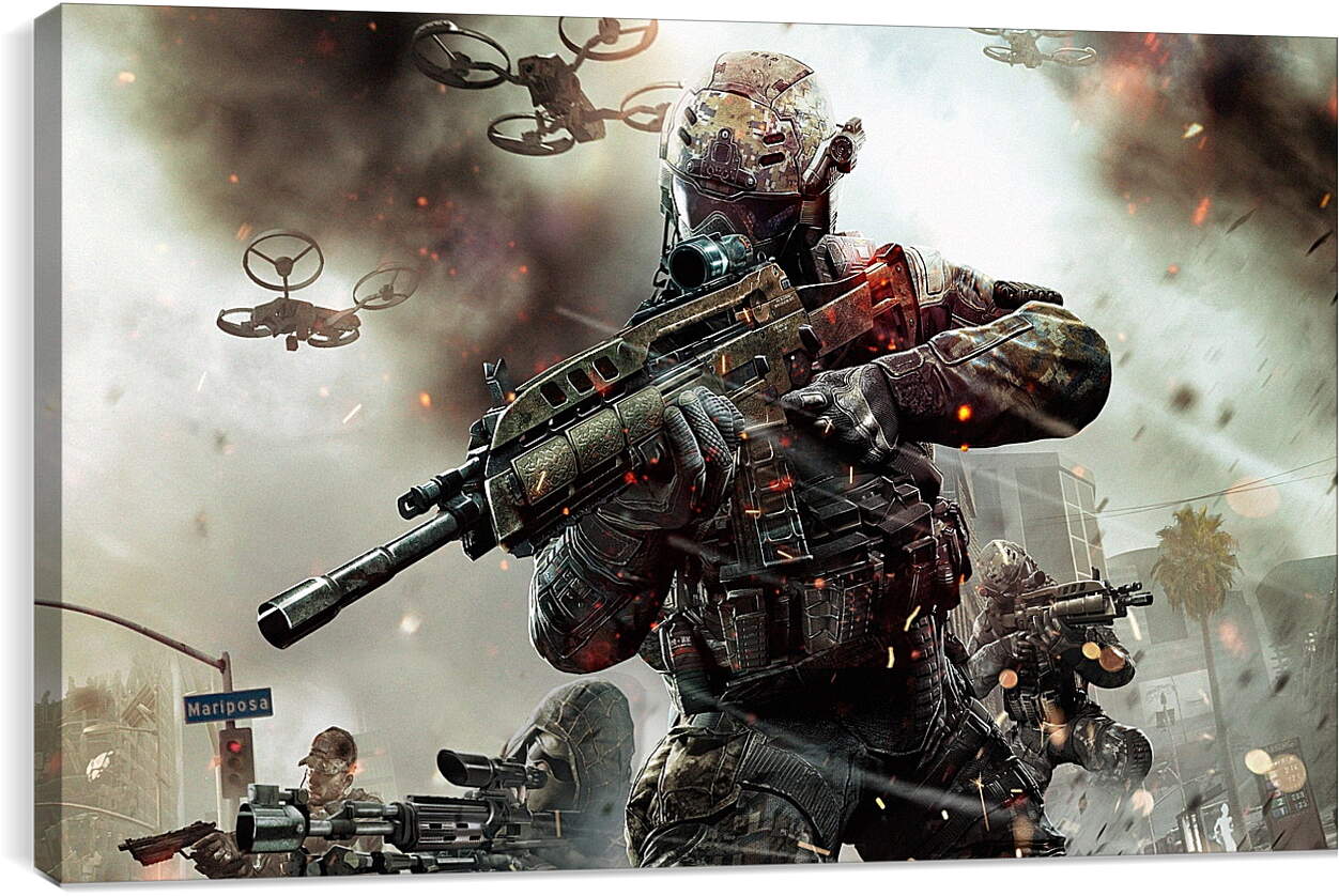 Постер и плакат - Call Of Duty: Black Ops II