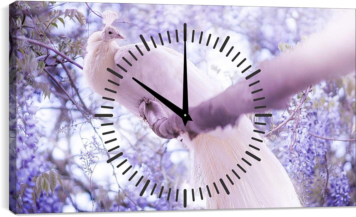 Часы картина - Белый павлин