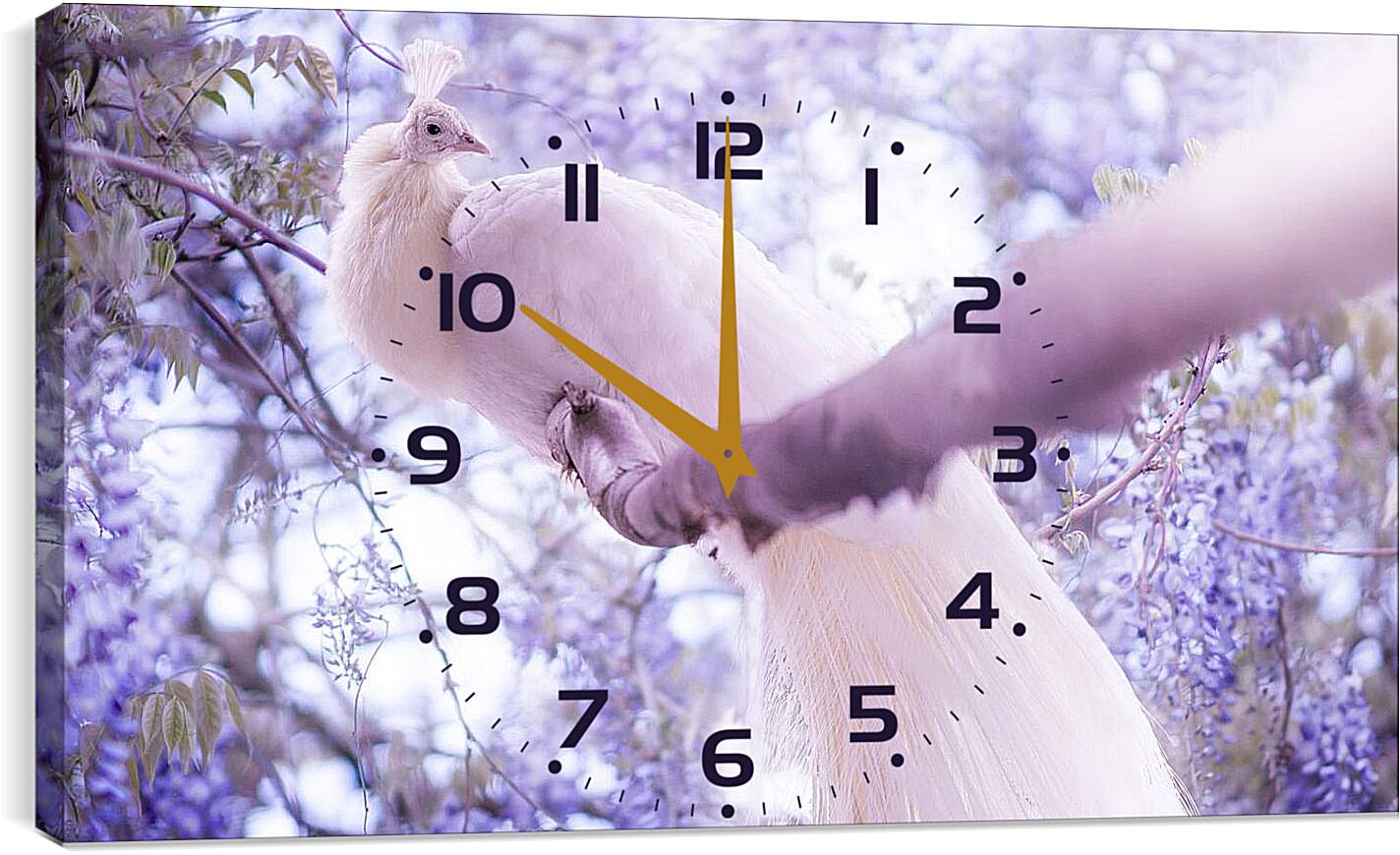 Часы картина - Белый павлин