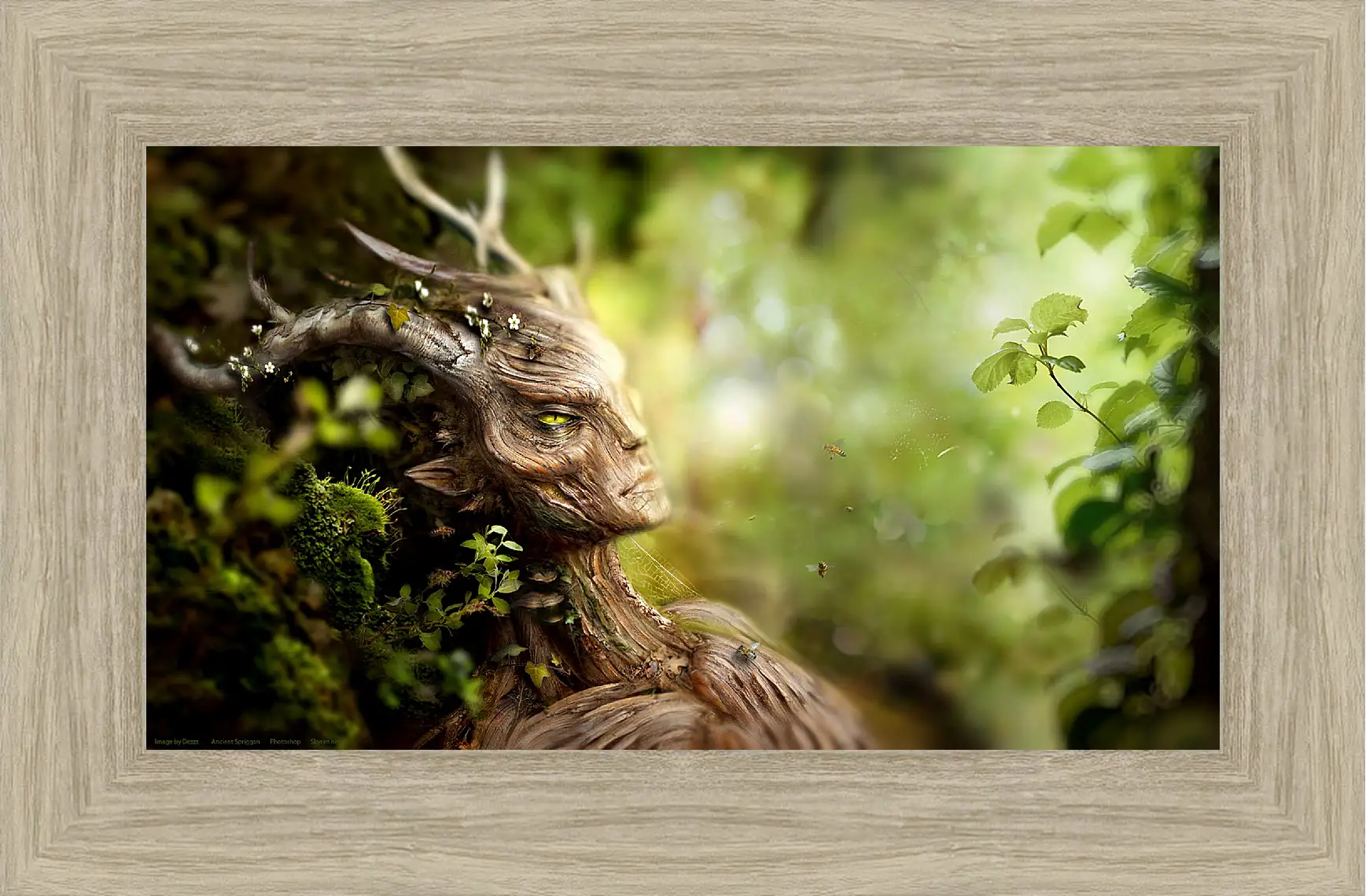 Картина в раме - The Elder Scrolls V: Skyrim

