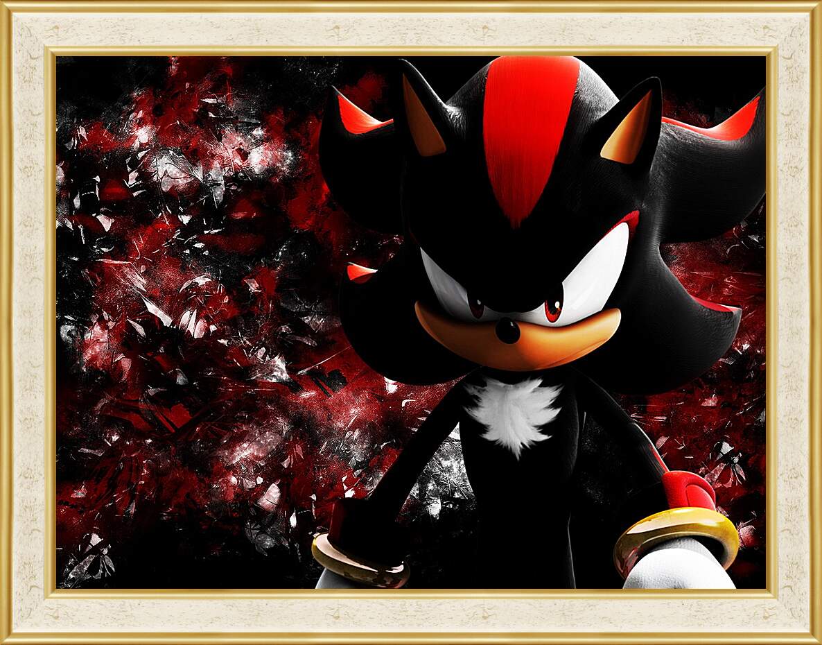 Картина в раме - Sonic The Hedgehog