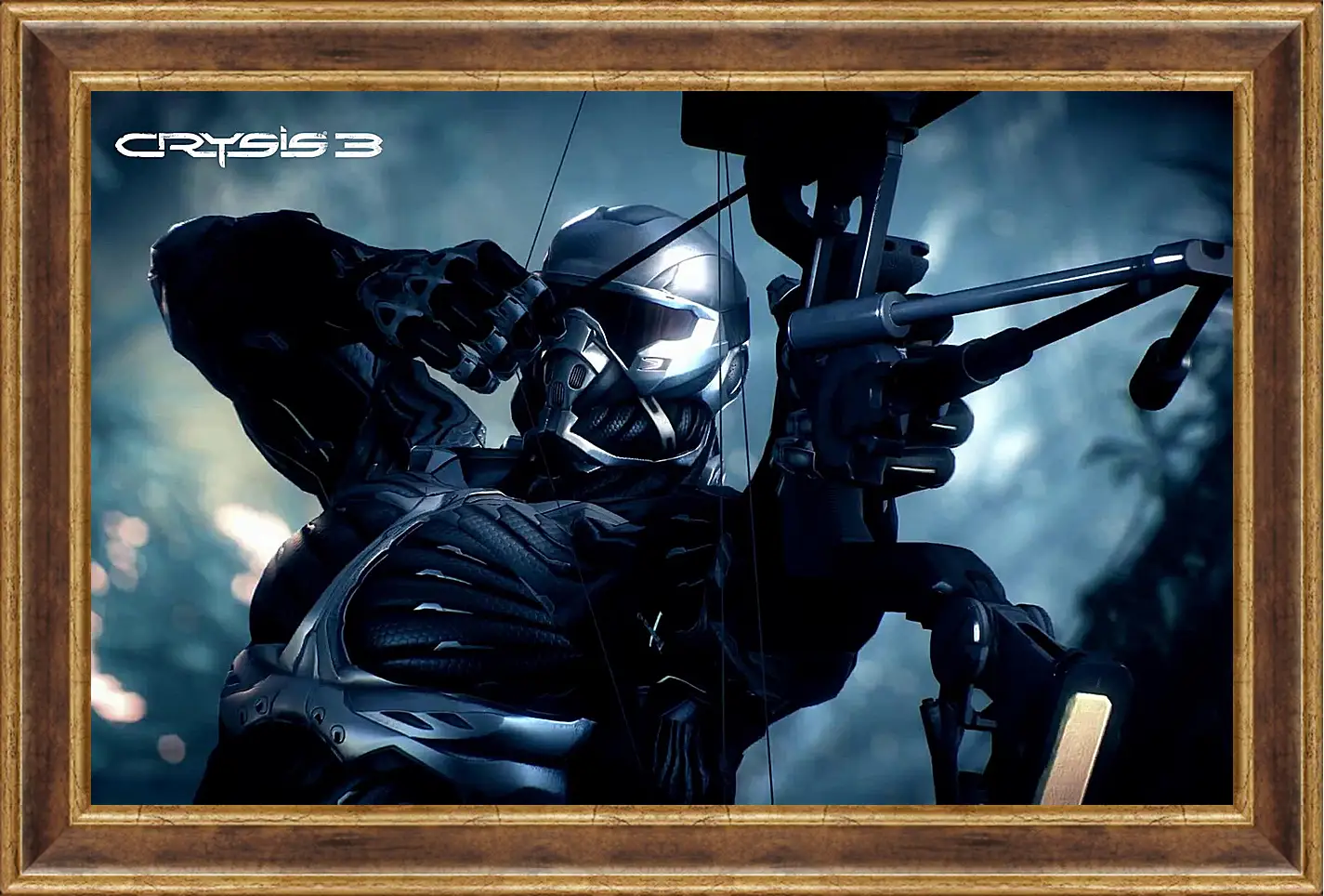 Картина в раме - Crysis 3
