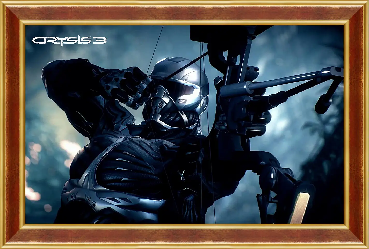 Картина в раме - Crysis 3
