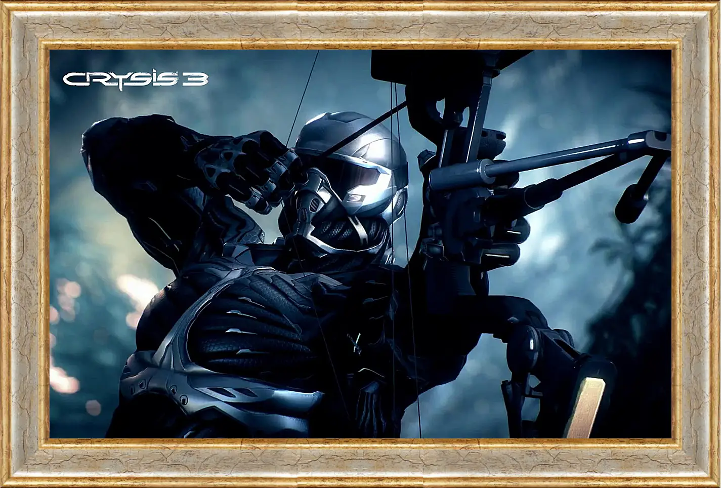 Картина в раме - Crysis 3
