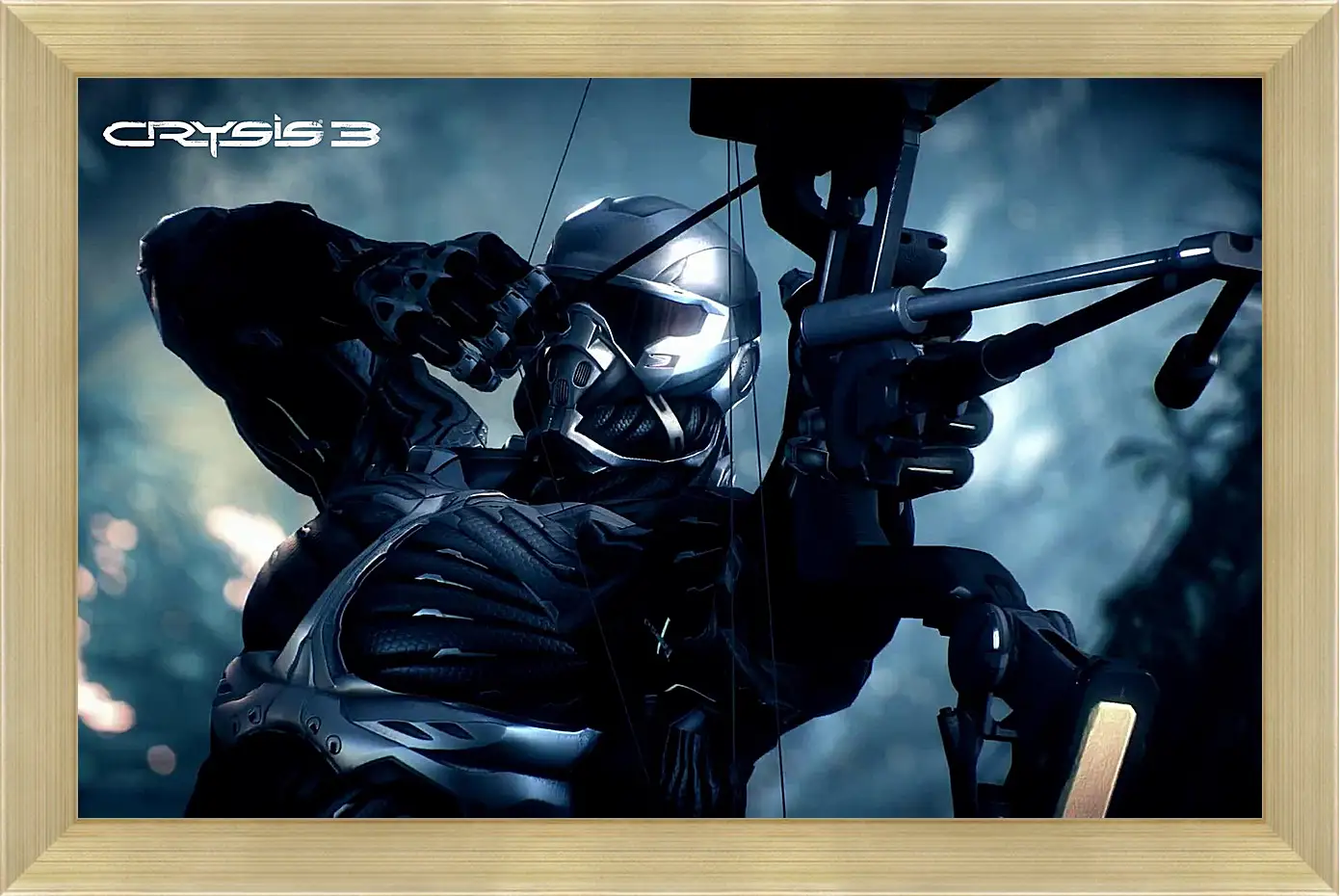 Картина в раме - Crysis 3
