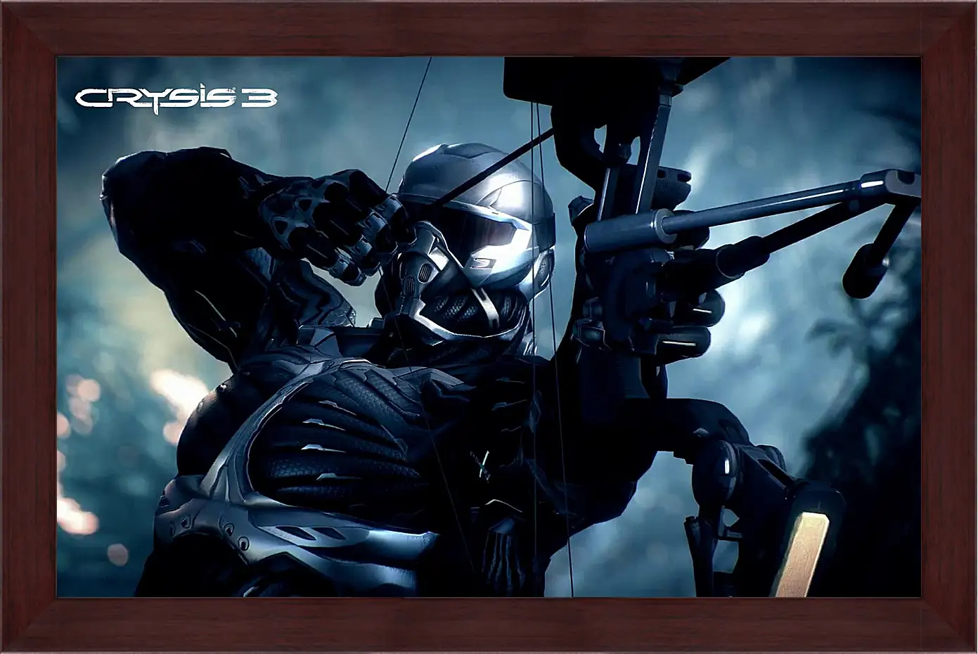 Картина в раме - Crysis 3
