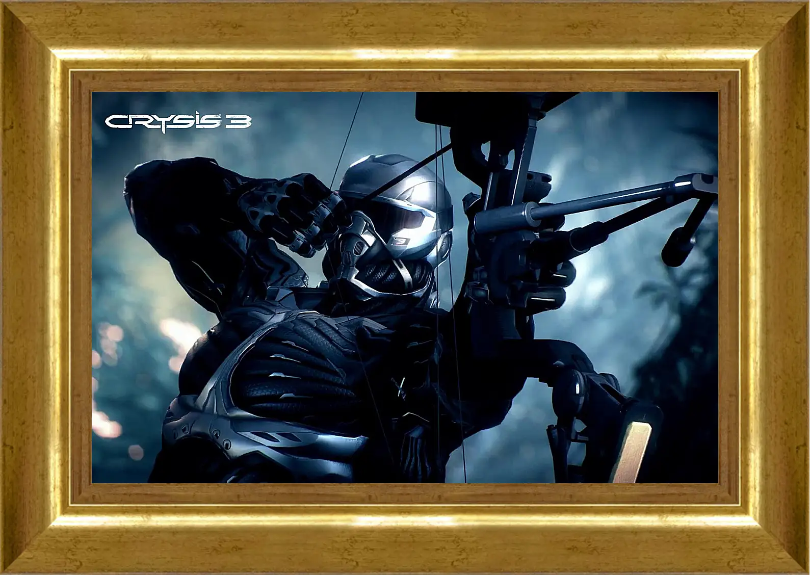 Картина в раме - Crysis 3
