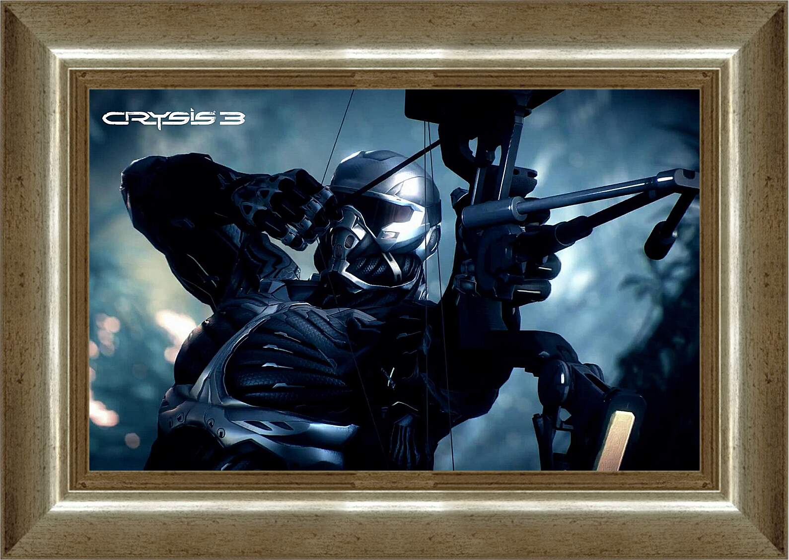 Картина в раме - Crysis 3
