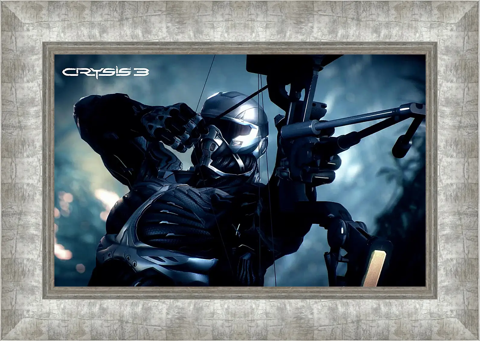 Картина в раме - Crysis 3
