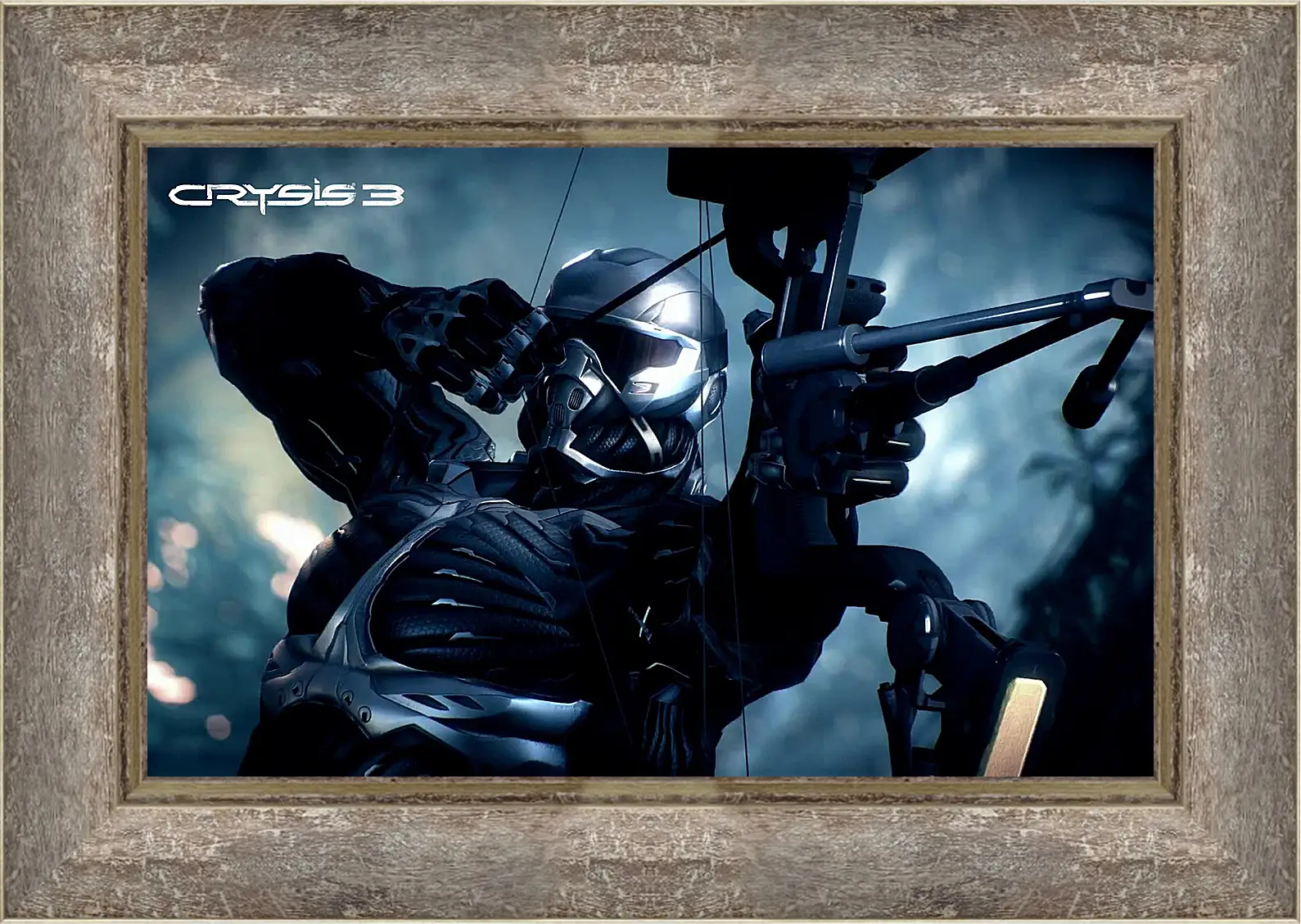 Картина в раме - Crysis 3
