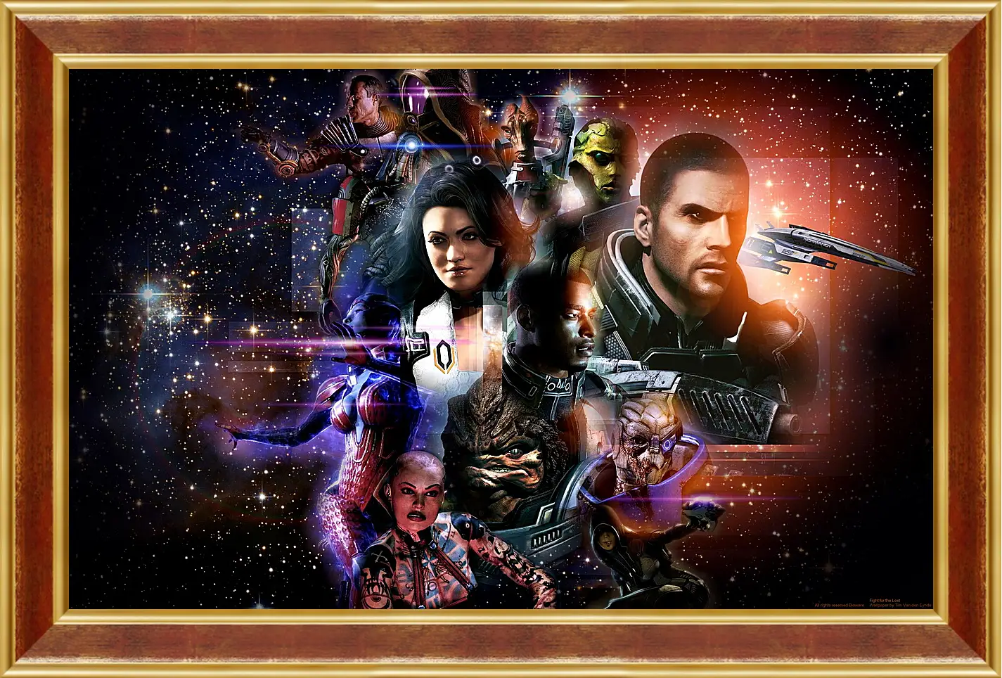 Картина в раме - Mass Effect 2
