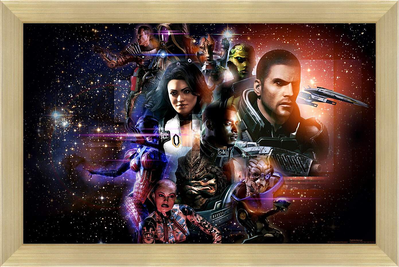Картина в раме - Mass Effect 2
