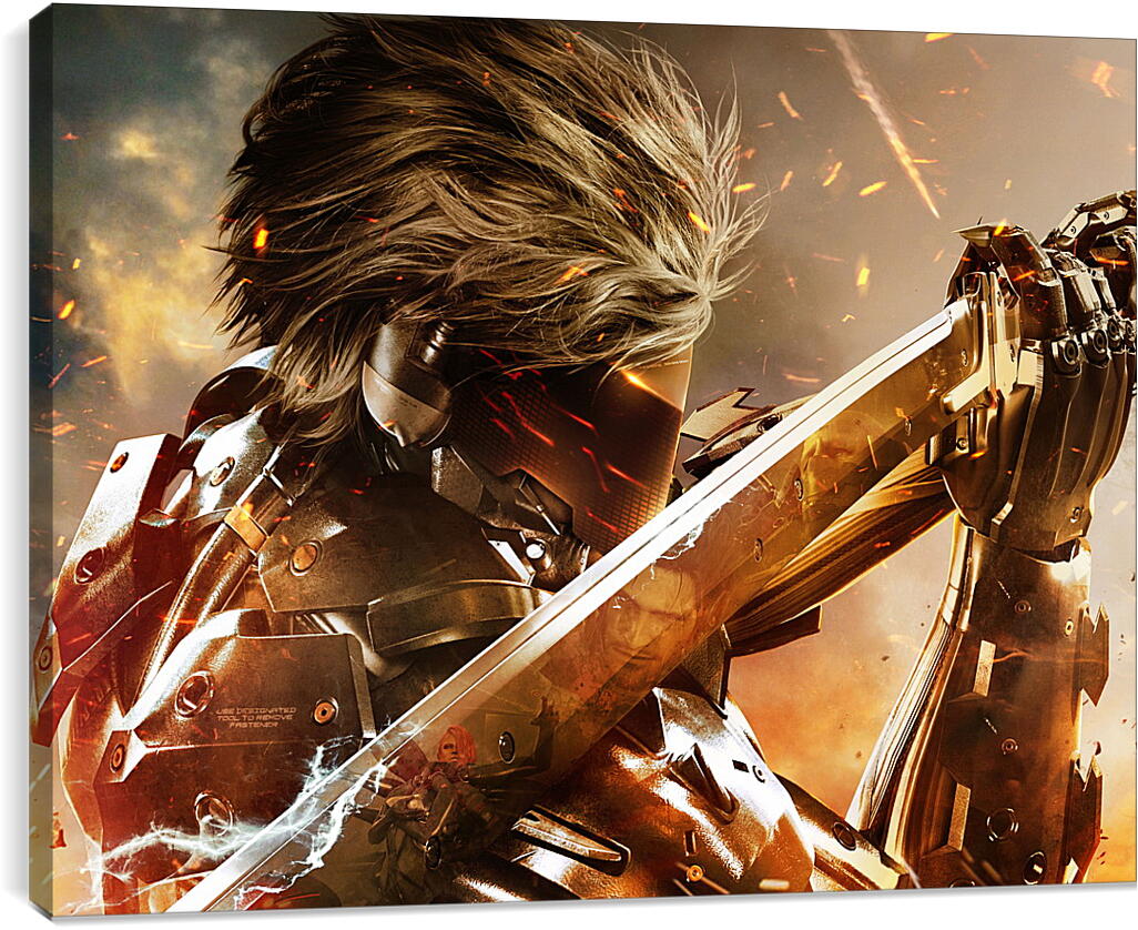 Постер и плакат - Metal Gear Rising: Revengeance
