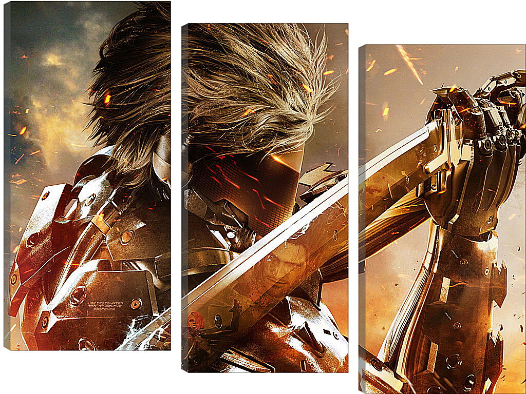 Модульная картина - Metal Gear Rising: Revengeance
