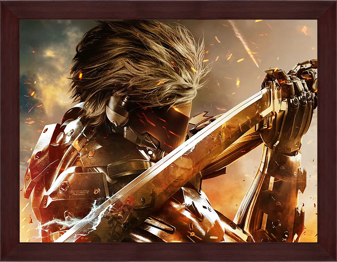 Картина в раме - Metal Gear Rising: Revengeance
