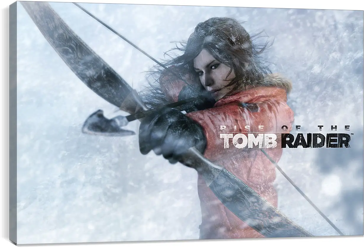 Постер и плакат - Rise Of The Tomb Raider