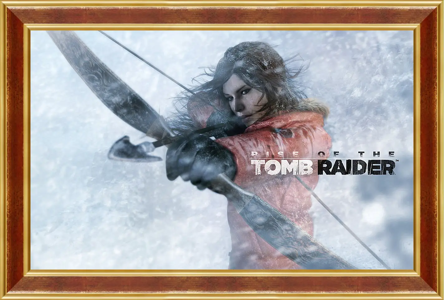 Картина в раме - Rise Of The Tomb Raider