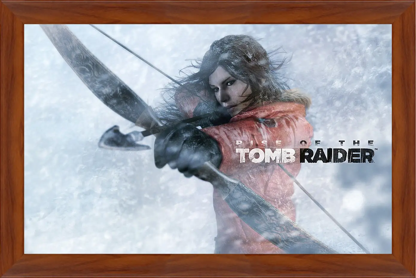 Картина в раме - Rise Of The Tomb Raider