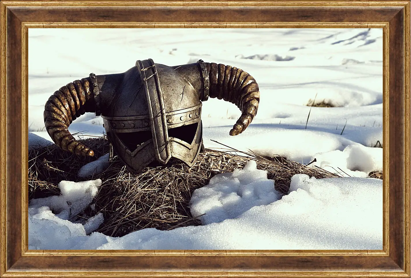 Картина в раме - The Elder Scrolls V: Skyrim
