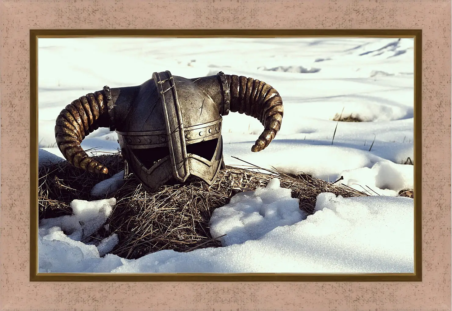 Картина в раме - The Elder Scrolls V: Skyrim
