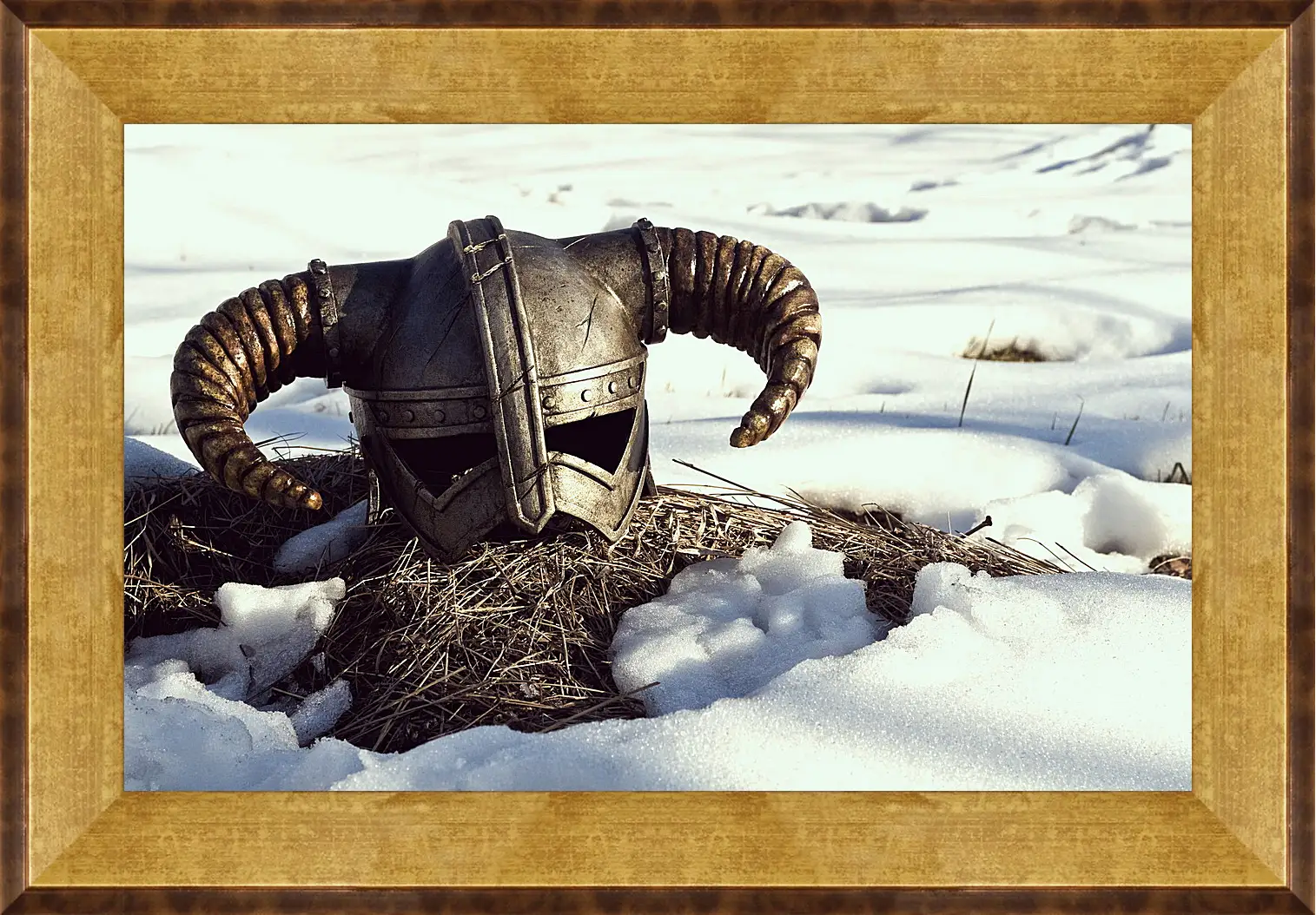 Картина в раме - The Elder Scrolls V: Skyrim
