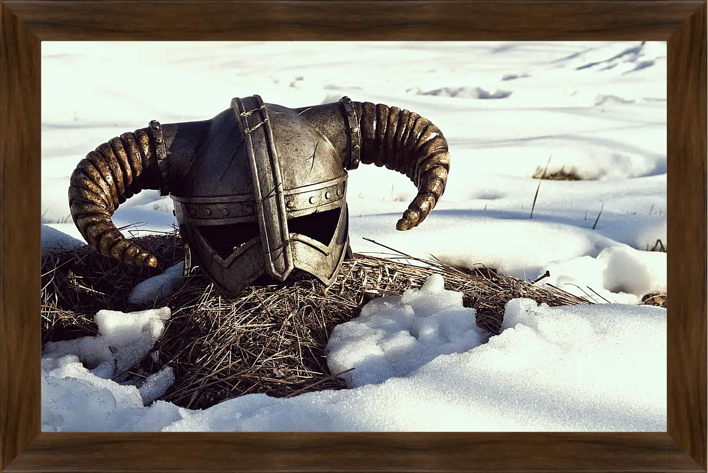 Картина в раме - The Elder Scrolls V: Skyrim
