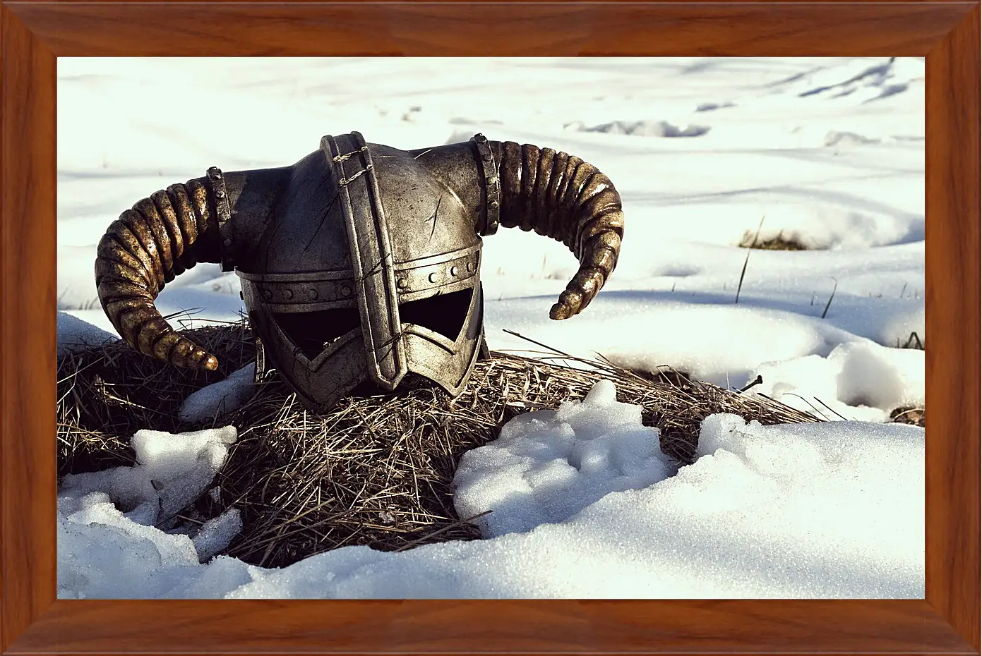 Картина в раме - The Elder Scrolls V: Skyrim
