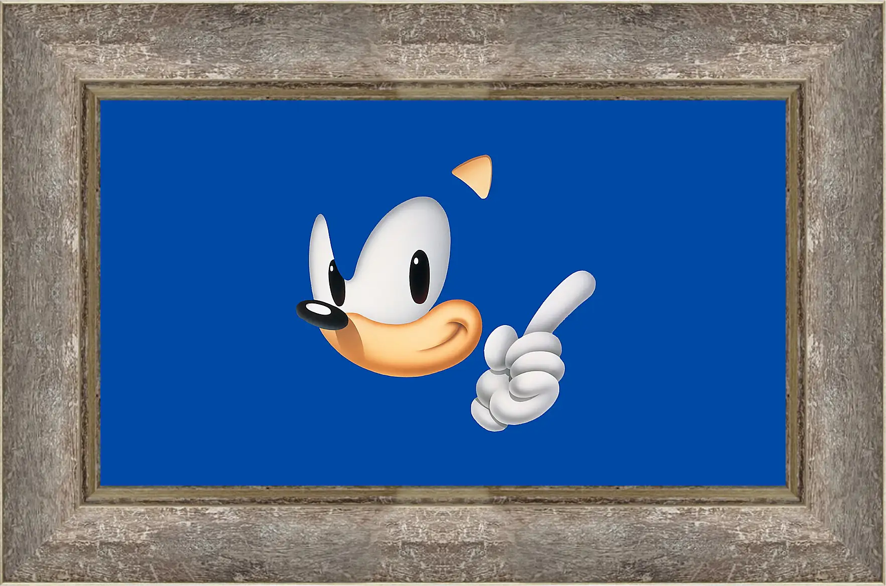 Картина в раме - Sonic The Hedgehog
