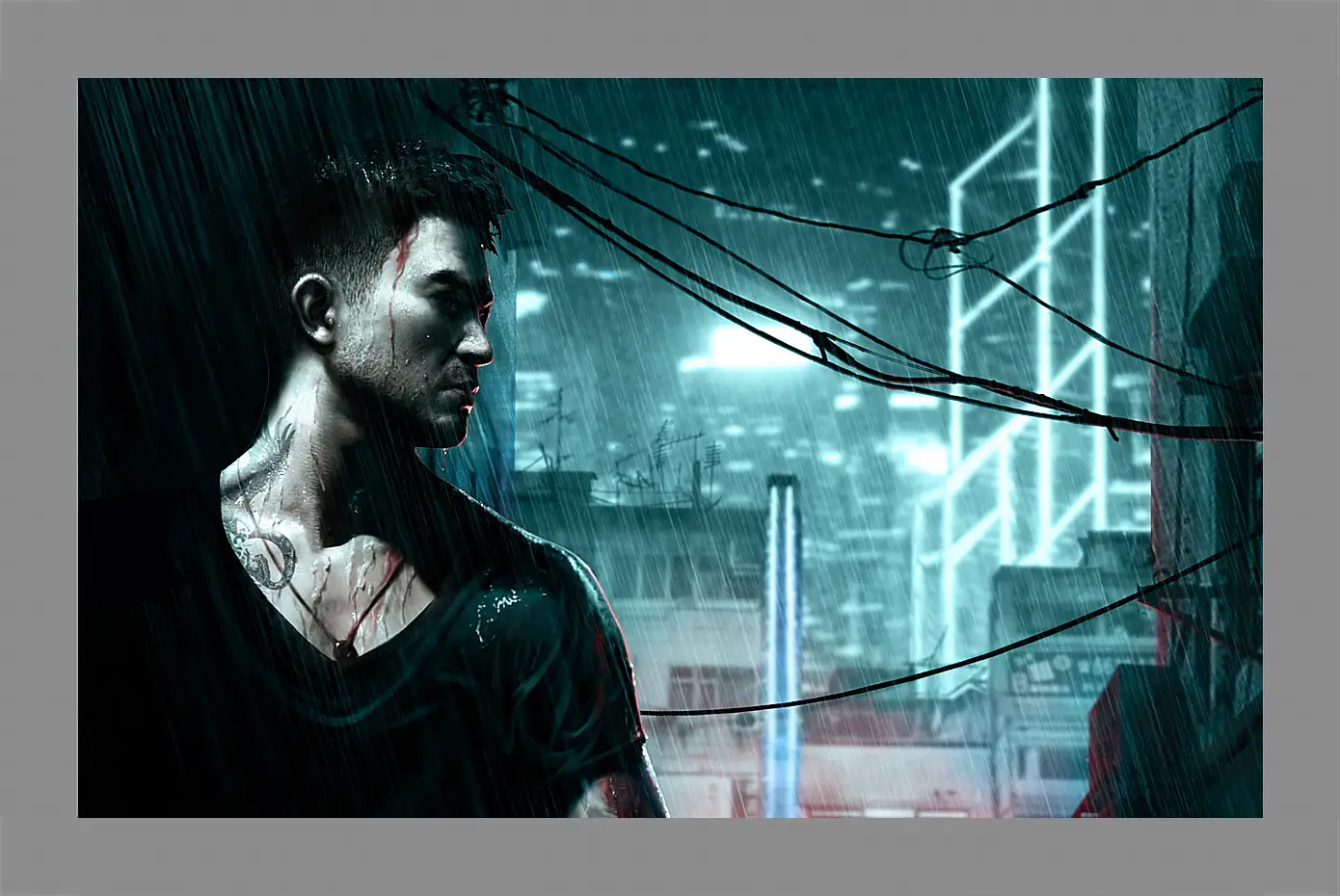 Картина в раме - Sleeping Dogs 
