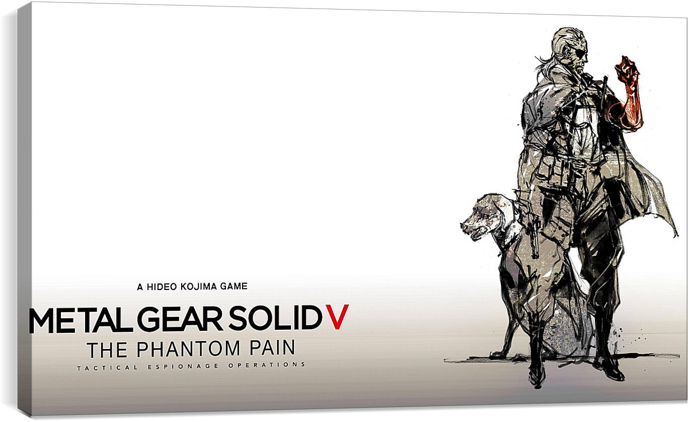 Постер и плакат - Metal Gear Solid V: The Phantom Pain
