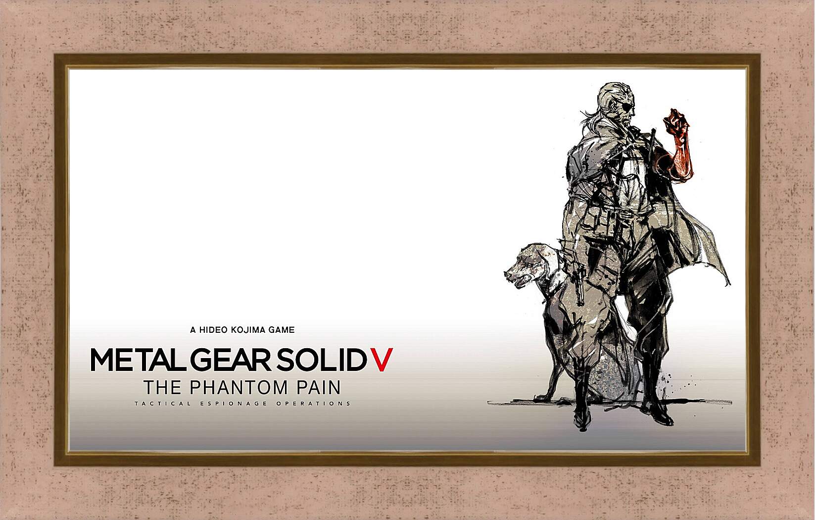 Картина в раме - Metal Gear Solid V: The Phantom Pain
