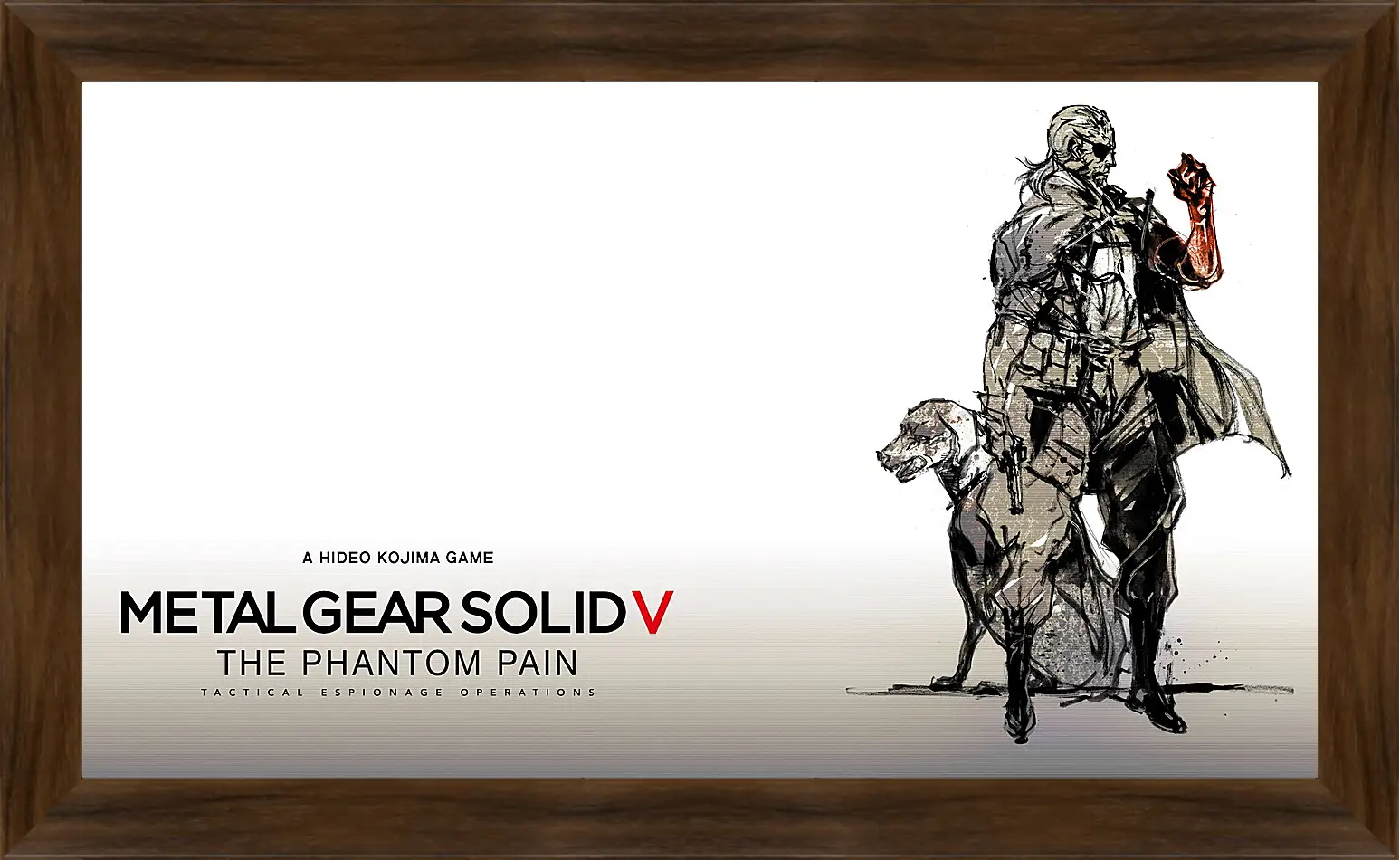 Картина в раме - Metal Gear Solid V: The Phantom Pain
