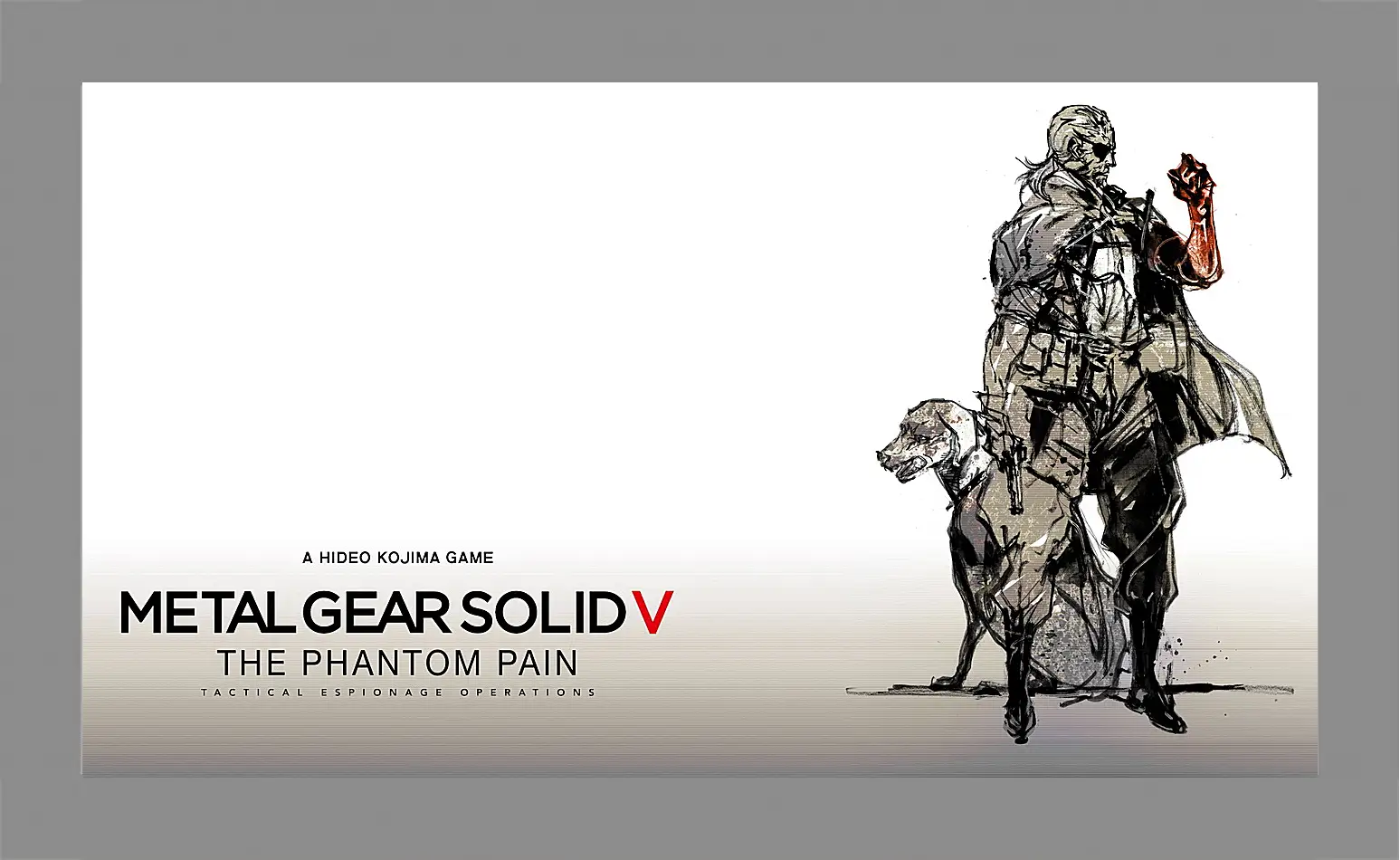 Картина в раме - Metal Gear Solid V: The Phantom Pain
