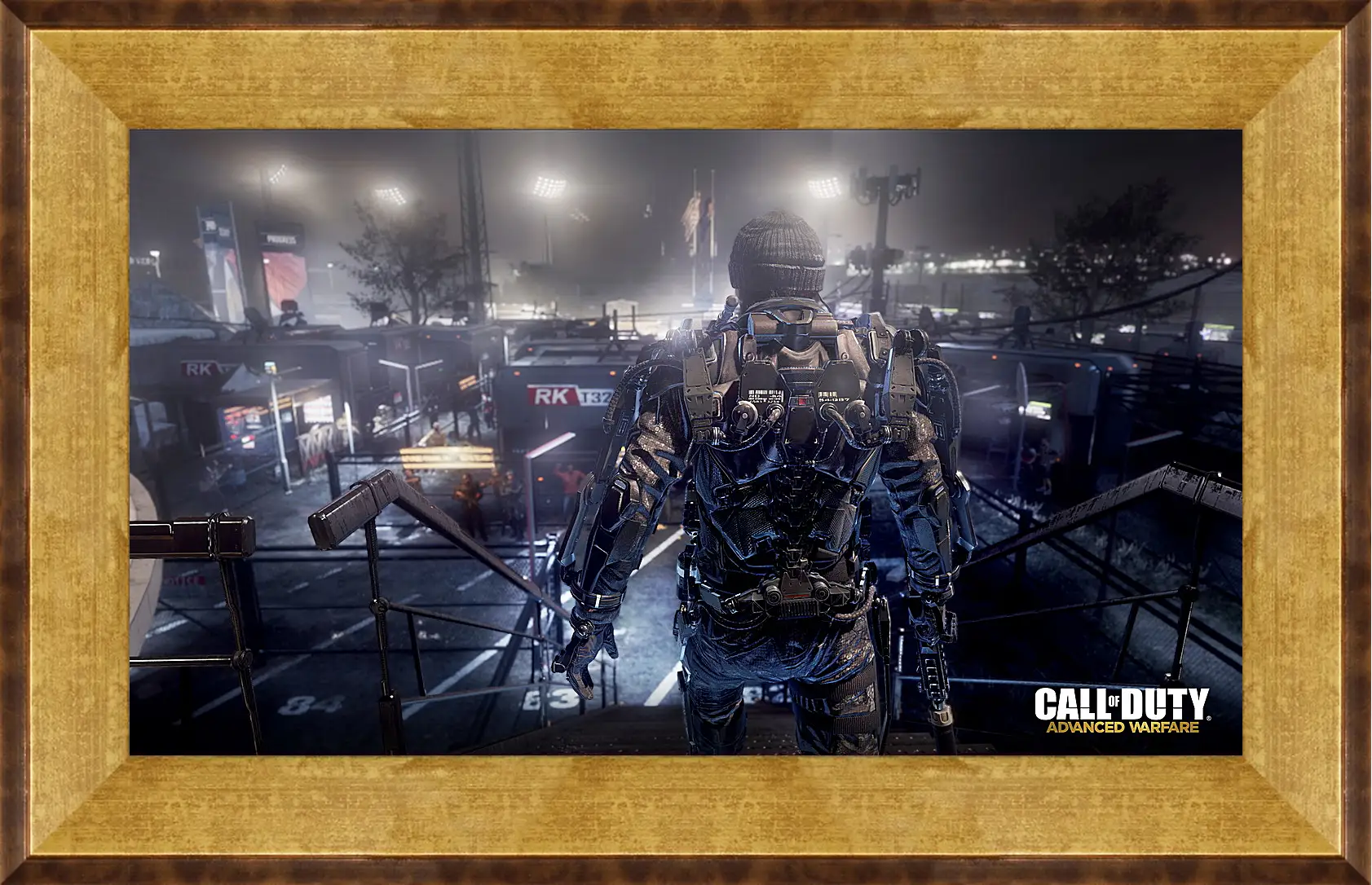 Картина в раме - Call Of Duty: Advanced Warfare
