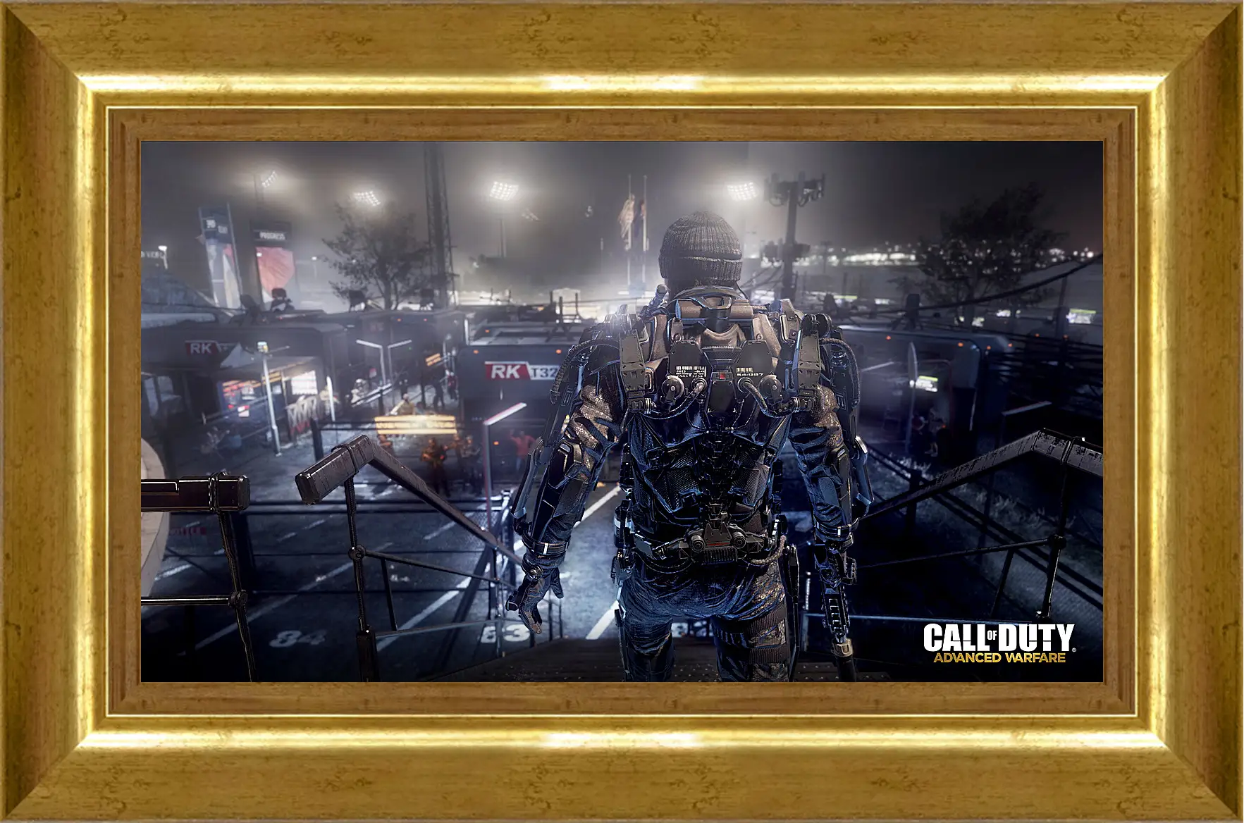 Картина в раме - Call Of Duty: Advanced Warfare
