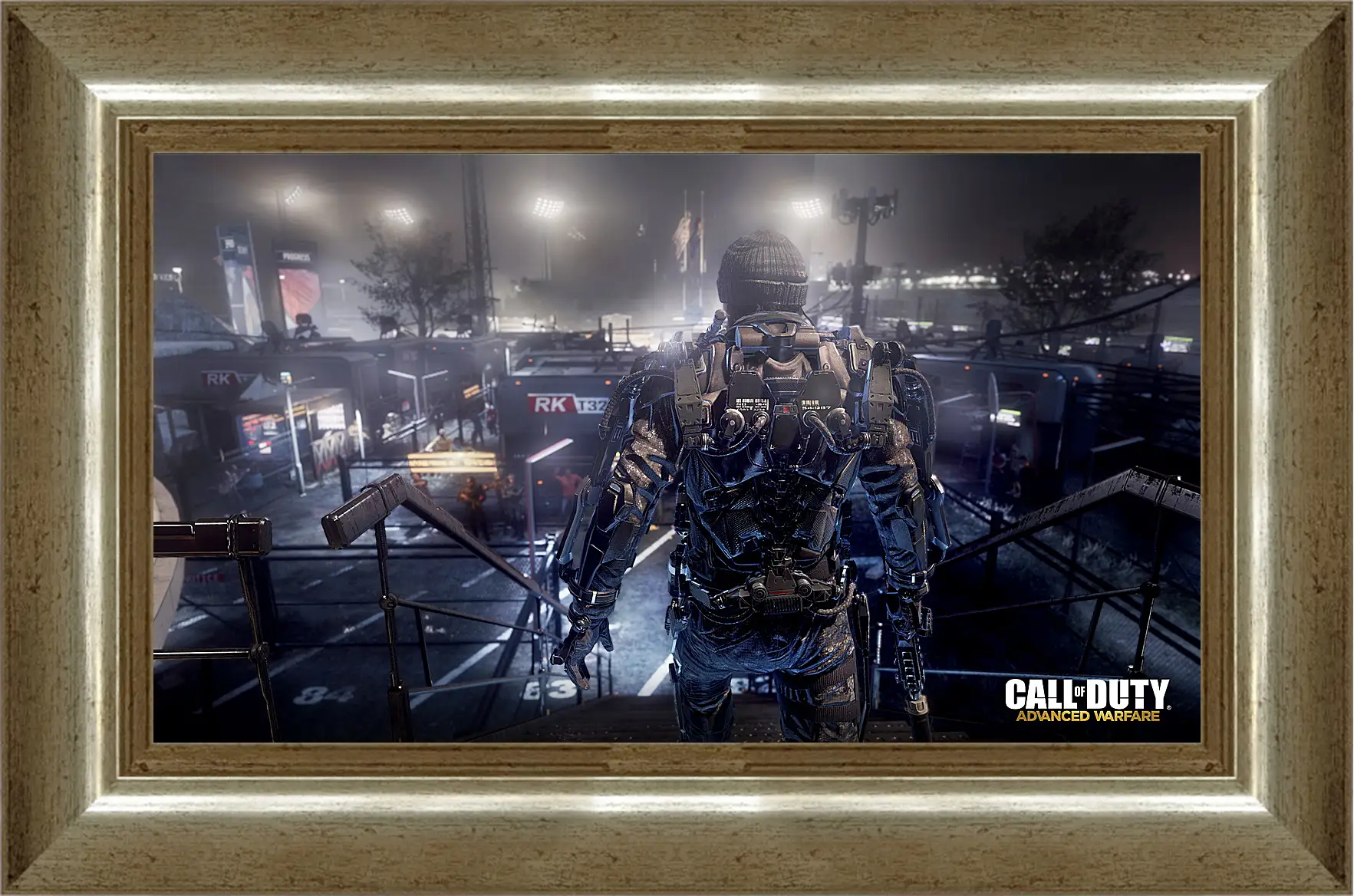 Картина в раме - Call Of Duty: Advanced Warfare
