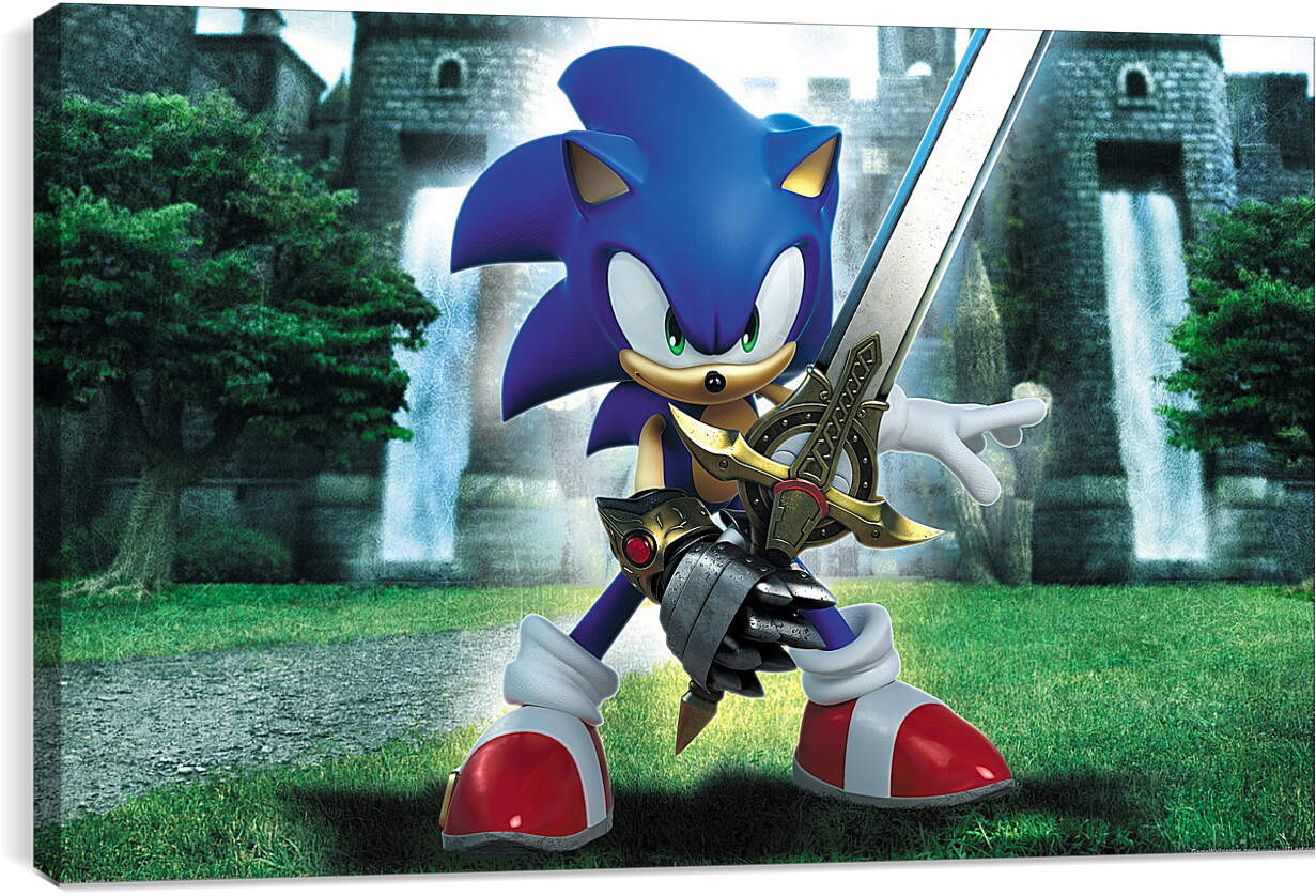 Постер и плакат - Sonic And The Black Knight
