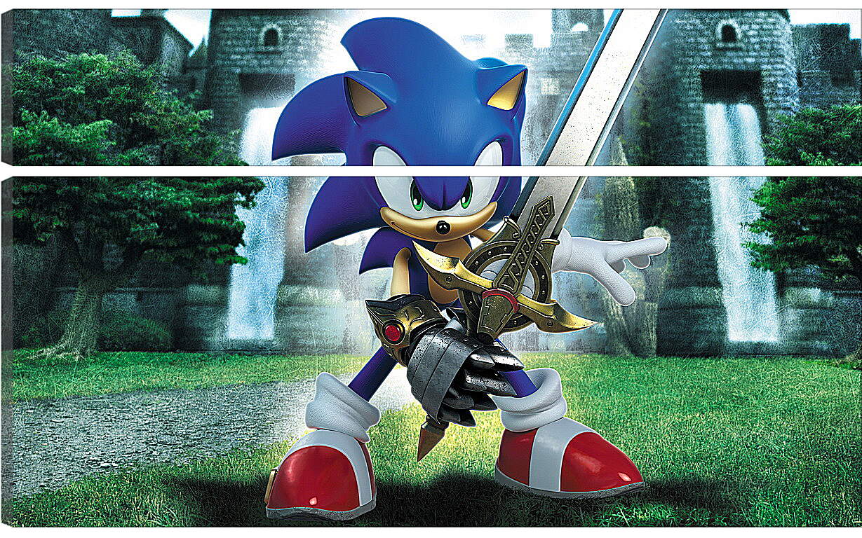 Модульная картина - Sonic And The Black Knight
