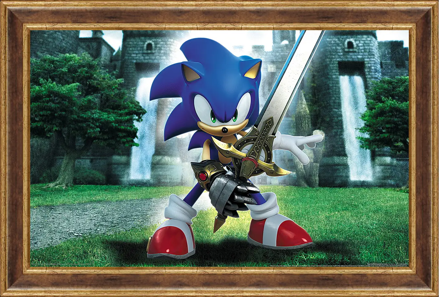 Картина в раме - Sonic And The Black Knight
