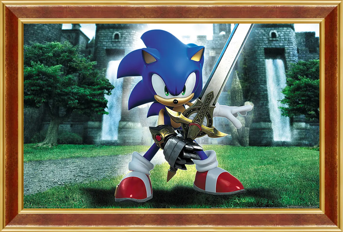 Картина в раме - Sonic And The Black Knight
