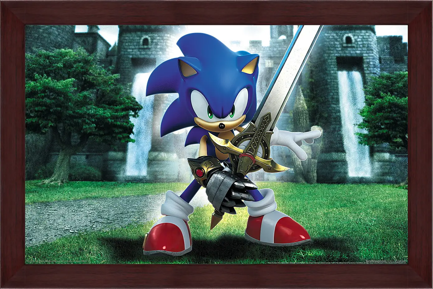 Картина в раме - Sonic And The Black Knight
