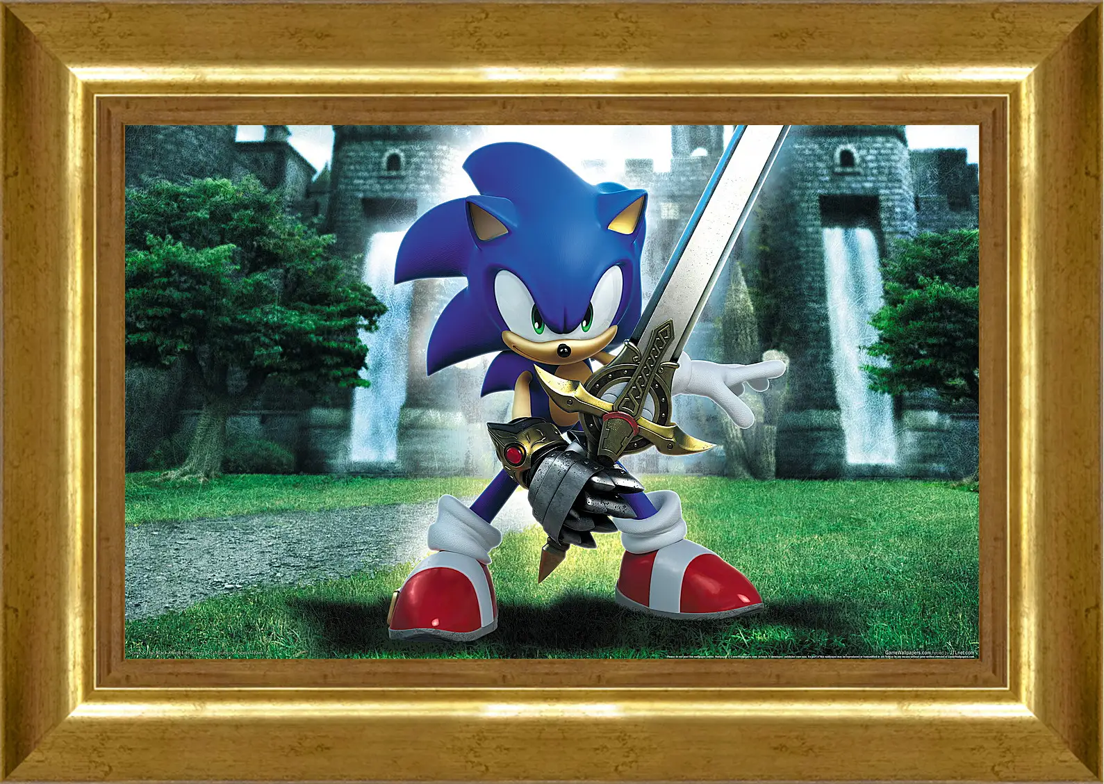 Картина в раме - Sonic And The Black Knight
