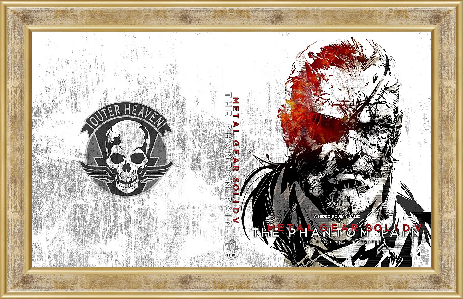 Картина в раме - Metal Gear Solid V: The Phantom Pain
